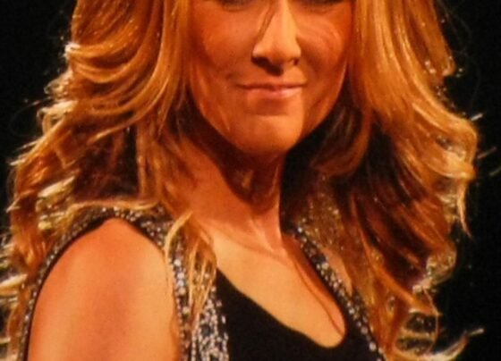 Concierto de Céline Dion